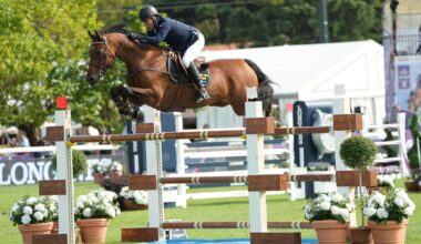 Dags för avgörande på SM – här finns allt du behöver för att hänga med