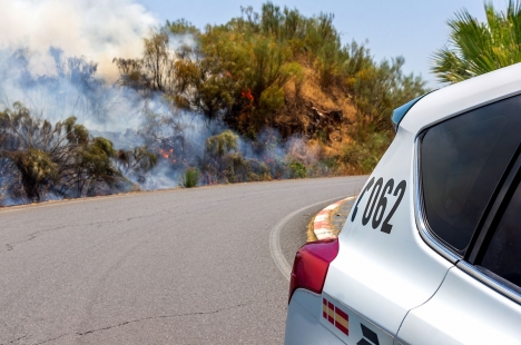 Flertal gripna för att ha startat bränder