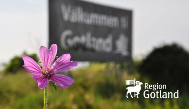 Aktuellt vattenläge vecka 33: Fortsatt låga grundvattennivåer