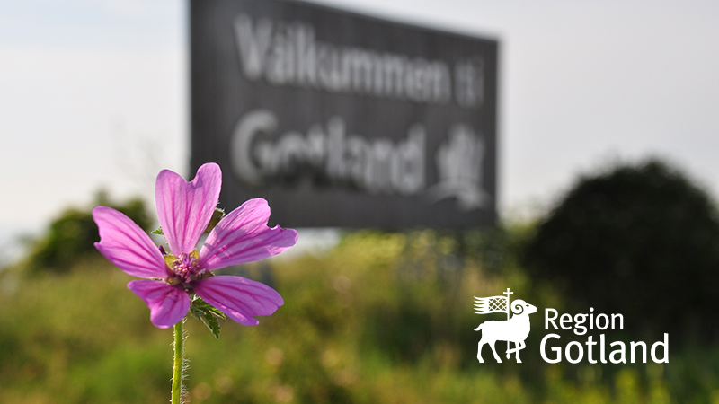 Aktuellt vattenläge vecka 33: Fortsatt låga grundvattennivåer