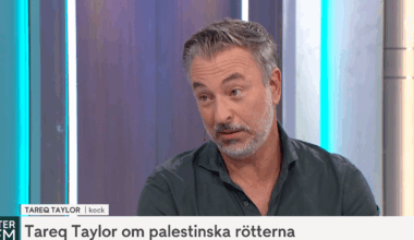 Tareq Taylor rasar mot Kristersson: ”Skämmes”