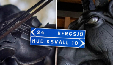 Trots protester – nu tar ”djävulsstatyn” plats i Bergsjö