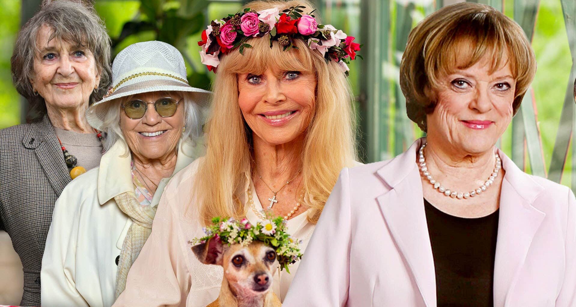 Plötsligt tar de plats – kvinnorna över 80