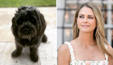Prinsessan Madeleine omplacerar hunden Oreo