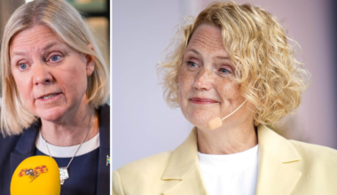 Anna-Karin Hatt kräver inflytande i hemliga samtal om kärnkraft