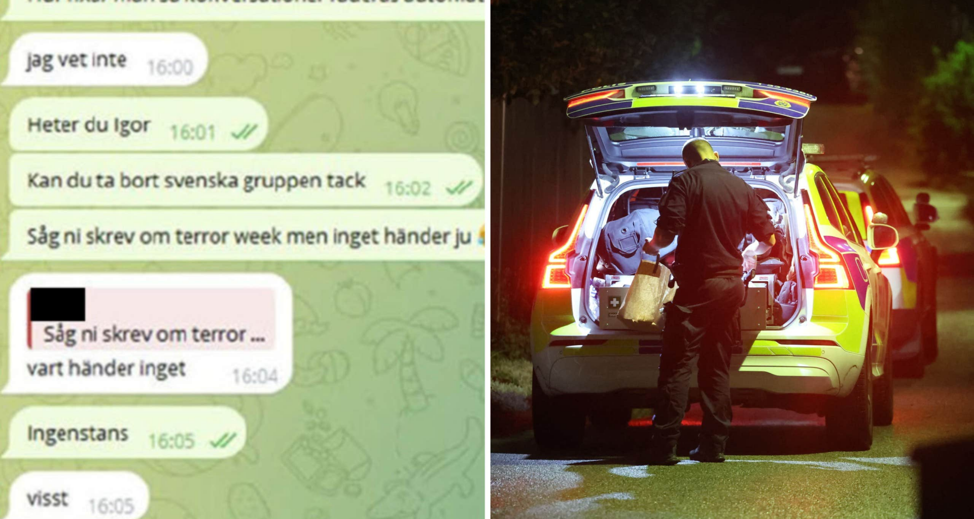 Tonårskille häktad för sadistiska dåd – knyts till nätverket 764