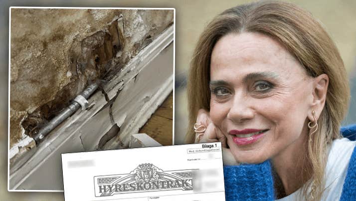Lena Olins kamp – vägrar bli vräkt