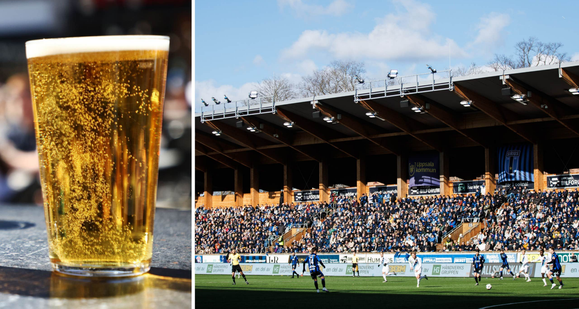 Sirius får servera vin och starköl på Studenternas