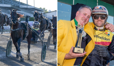 Dream Mine vinner Svenskt Travderby | Trav