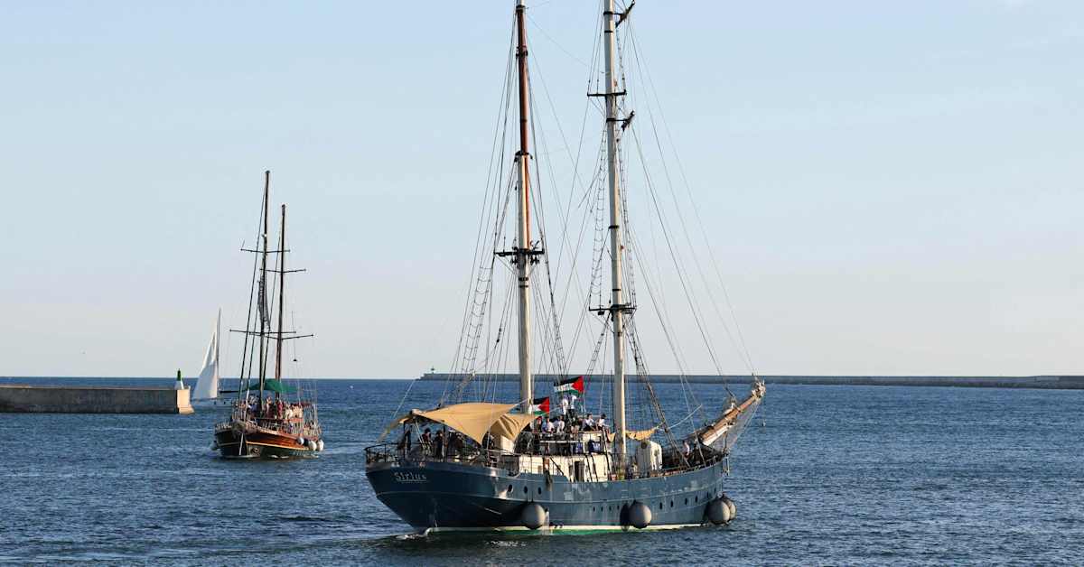 Organisation: Drönare attackerade fartyg i Gazaflotta | Utrikes