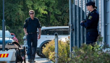 Kvinna i 95-årsåldern död i Staffanstorp – man i 90-årsåldern gripen