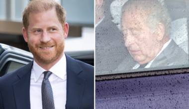 Prinsens blixtmöte med
kungen efter 19 månader
