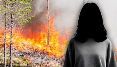 21-åring från Stockholm döms – kissade och startade skogsbrand