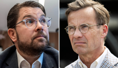 Därför pekas Jimmie Åkesson ut som statsminister – interna planen