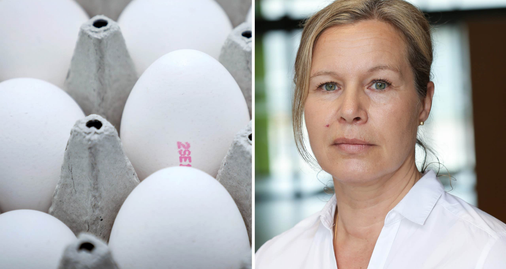 Jordbruksverket larmar om ovanlig salmonella: ”En värsting”