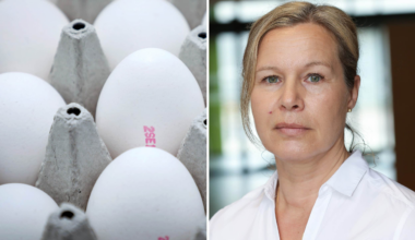 Jordbruksverket larmar om ovanlig salmonella: ”En värsting”