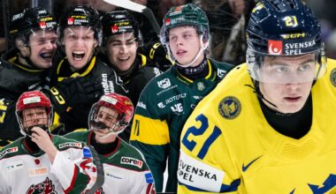 Spåkulan: 10 genombrott i hockeyallsvenskan 25/26 | Hockeyallsvenskan