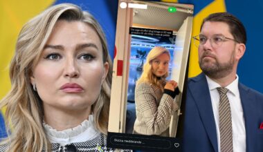 ”SD grunden till allt dåligt”