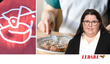 Natalia Kazmierskas bok visar att friskolesystemet är trasigt