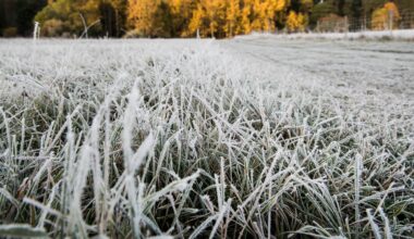 Nu kommer kylan – minusnätter på väg