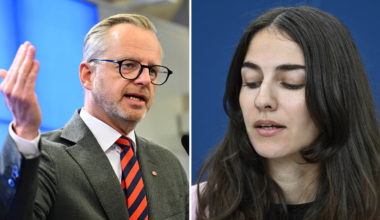 Oppositionens krav: Romina Pourmokhtari borde avgå