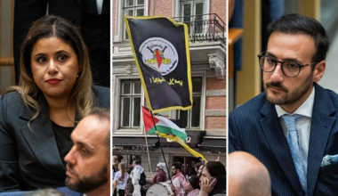 V-toppar spred klipp med Hamas-flaggor – backar - Expressen