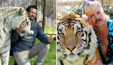 Joe Tiger King Exotics kompis dödad av en tiger