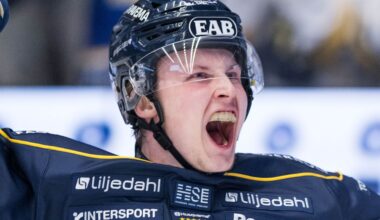 Hugo Pettersson på väg att lånas ut till hockeyallsvenskan | SHL