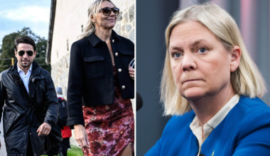 Socialdemokraterna vill öka säkerheten i riksdagen – efter Nick Alinias besök