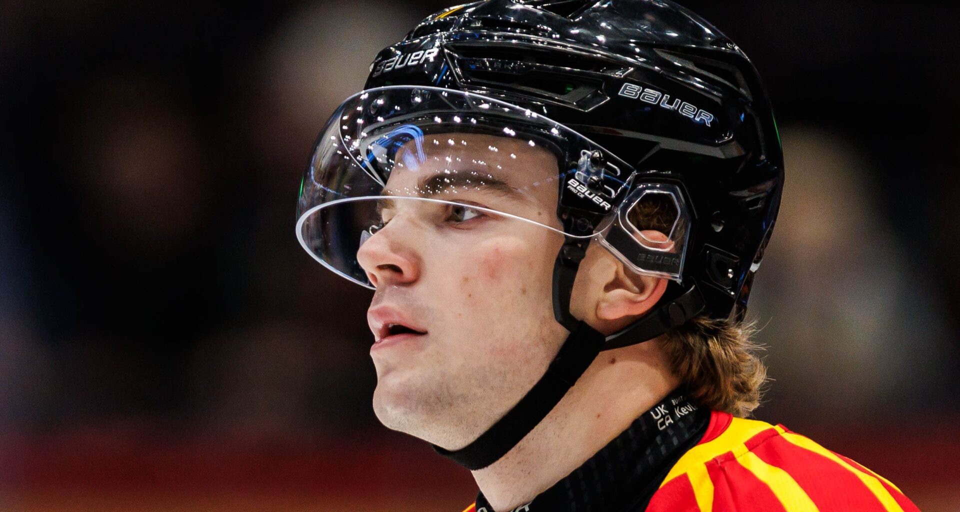 Brynäs Michal Svrcek på väg till i hockeyallsvenskan | SHL