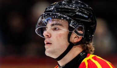Brynäs Michal Svrcek på väg till i hockeyallsvenskan | SHL