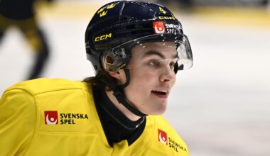 Axel Sandin-Pellikka hyllas av tränaren | NHL
