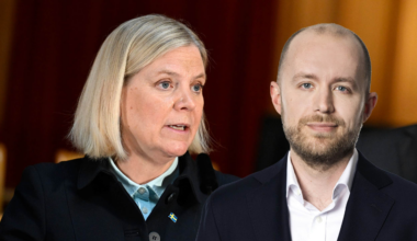 Elefanterna strövar lugnt vidare i S