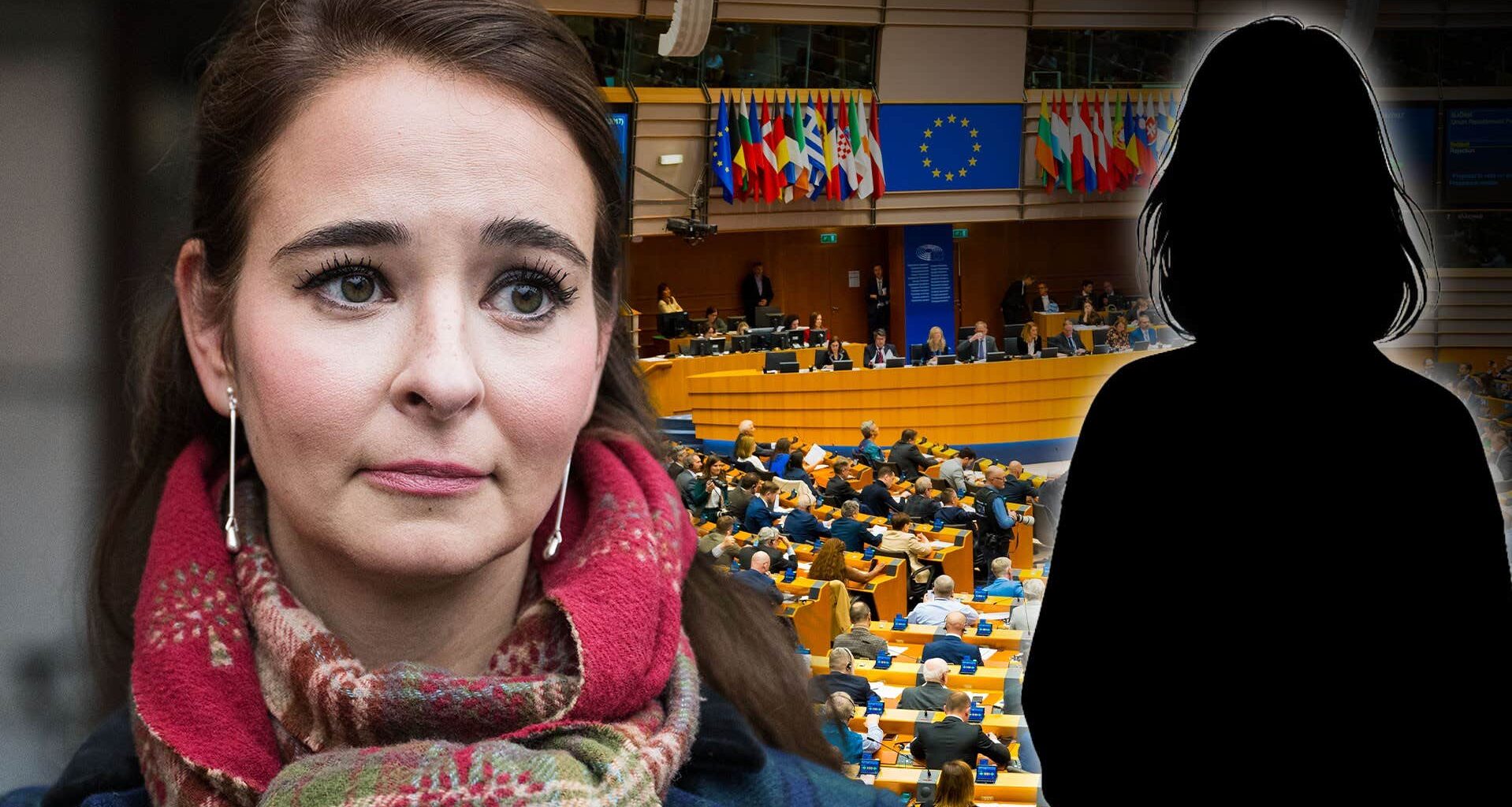 V-tjänstemannen som var i bråk med Alice Teodorescu Måwe slutar