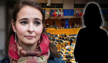 V-tjänstemannen som var i bråk med Alice Teodorescu Måwe slutar