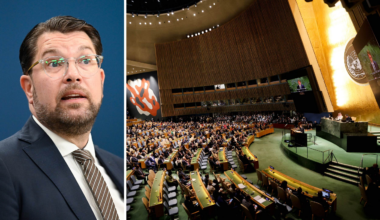 Europas ledare stärker
islamisternas krigsvilja