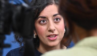 Vänstern kapas av antidemokratiska huliganer