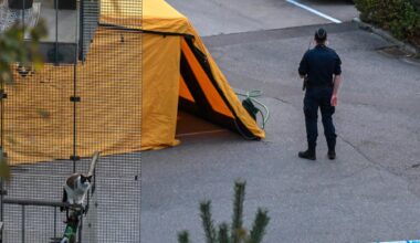 Offren sköts från baksätet i bilen