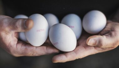 Salmonella i Katrineholm kopplas till ägg