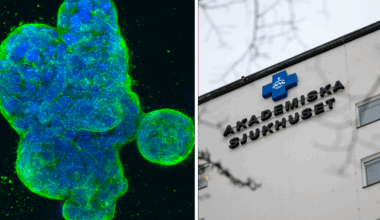 Görans cancer försvann efter ny Uppsalaforskning