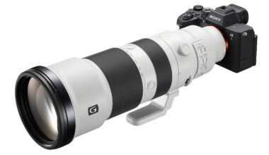 Test: Sony FE 400–800/6,3-8 G OSS - prisvärd zoom för natur och sport