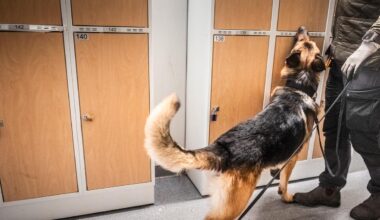 ”Zombiedrogen” ökar i Finland – sjukvården larmar