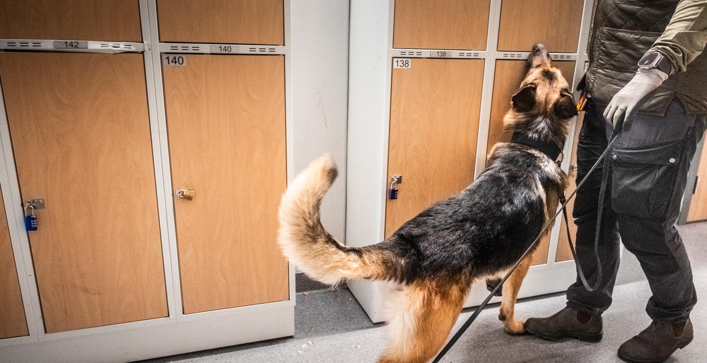 ”Zombiedrogen” ökar i Finland – sjukvården larmar