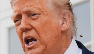 Trump klassar Antifa som en terrororganisation