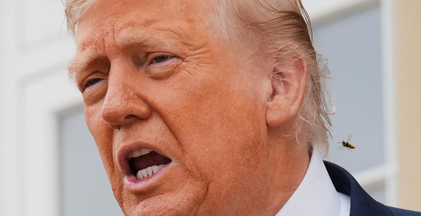 Trump klassar Antifa som en terrororganisation