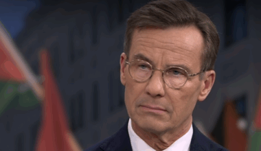 ”Uppenbart att det finns terrorromantik i S”