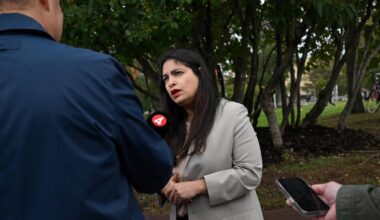 Dadgostar vill inte tala om splittring: ”Är som det är”