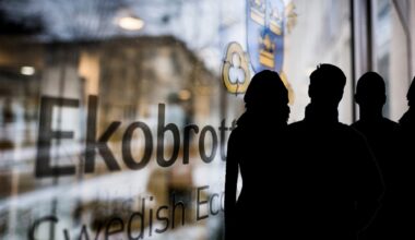 Myndighetschefer i utredning kopplad till ryska ambassaden - Ekot