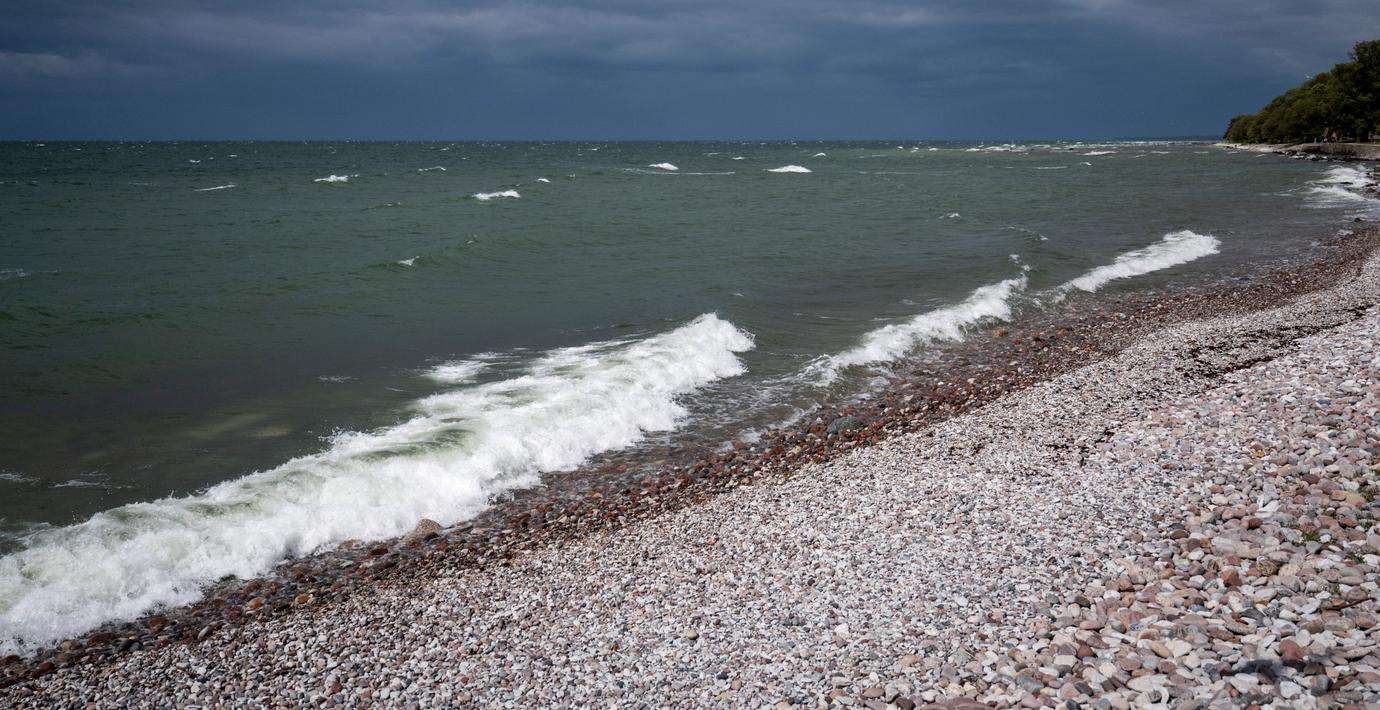 Kris för Östersjöfisken – inte ens totalstopp räcker