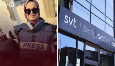 Henrik Sjögren: Sveriges Radios miljardresearch i diket